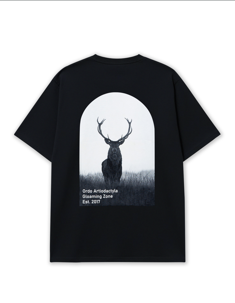 TSHIRT DESIGN